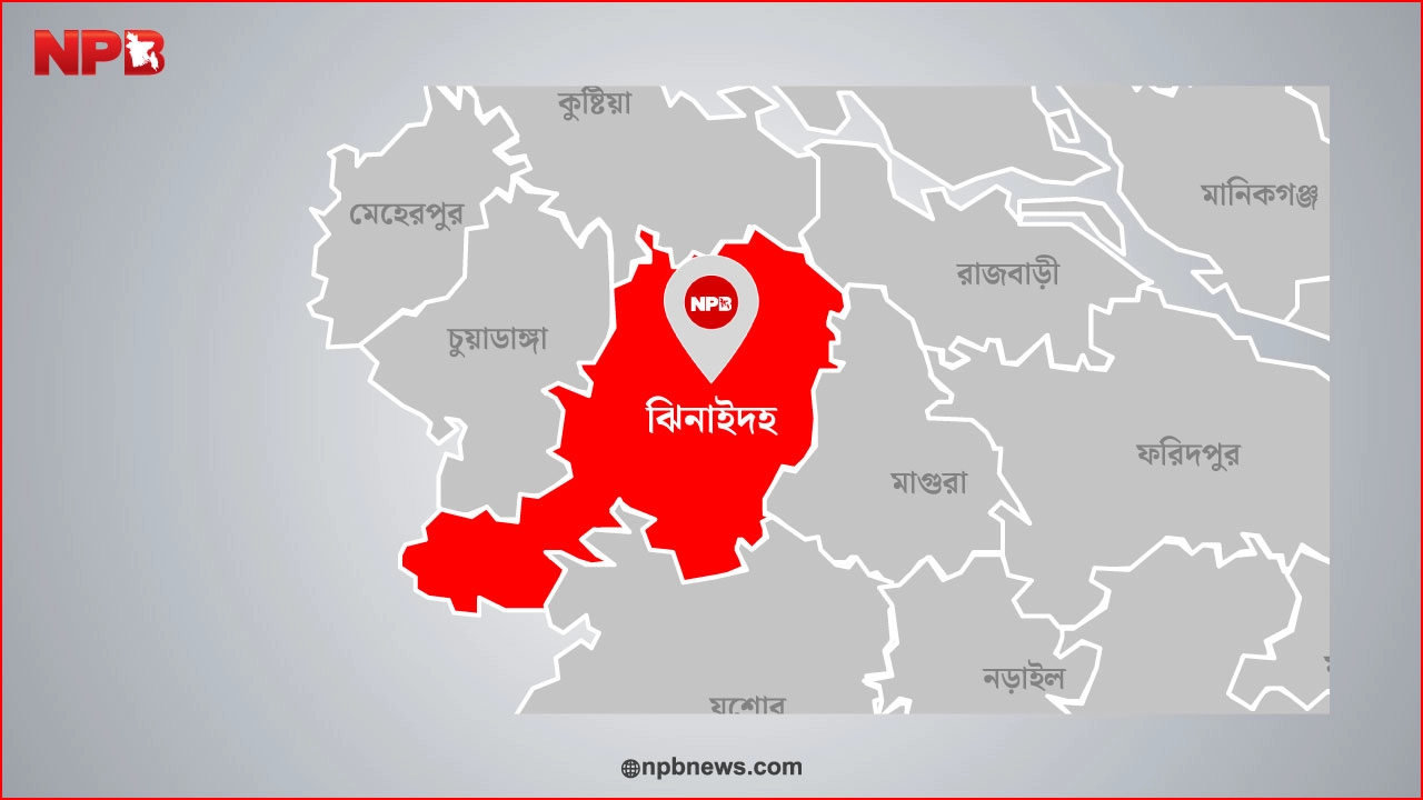 এনপিবি গ্রাফিক্স