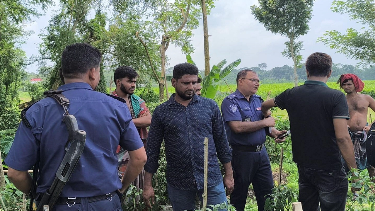 ফাইল ছবি