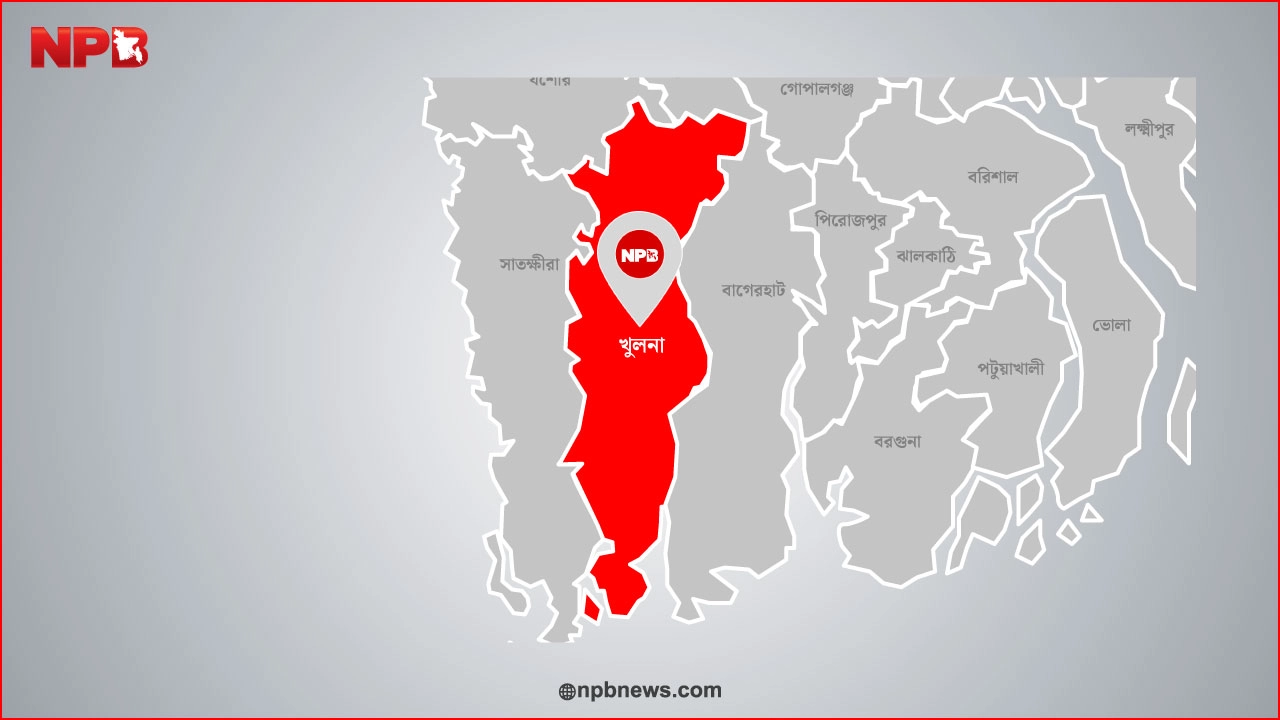 এনপিবি গ্রাফিক্স
