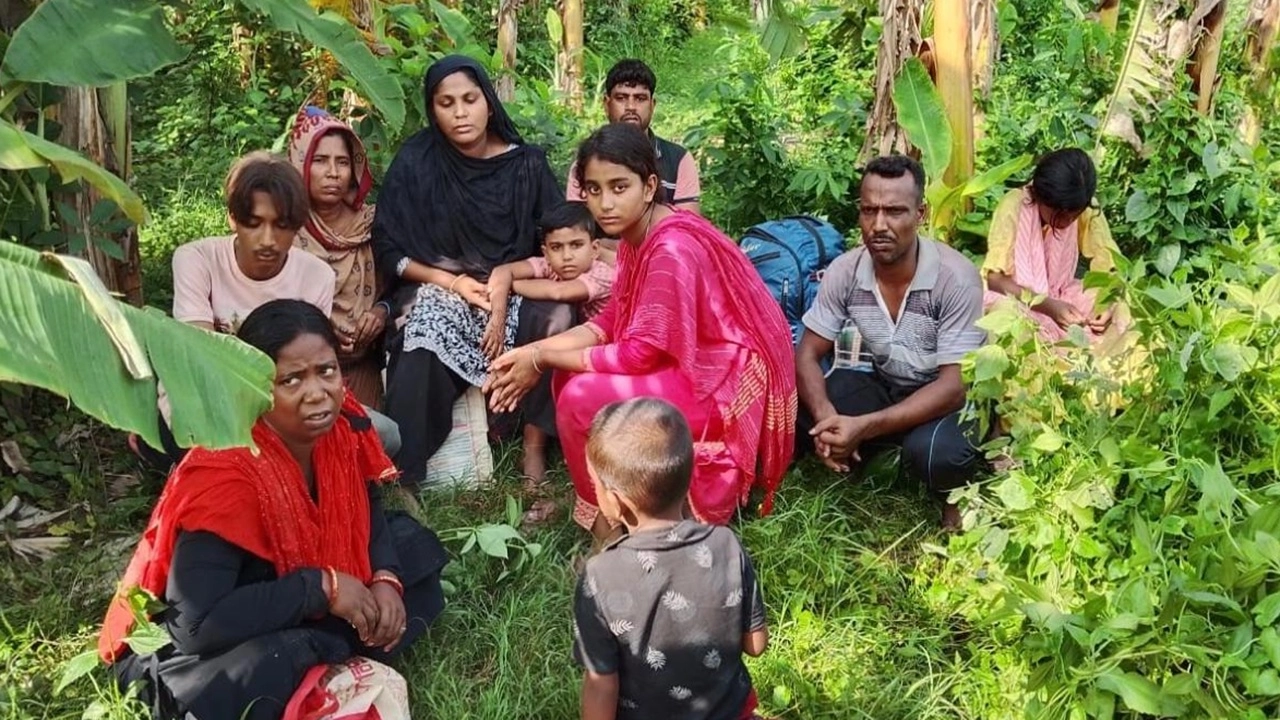 ছবি সংগৃহীত