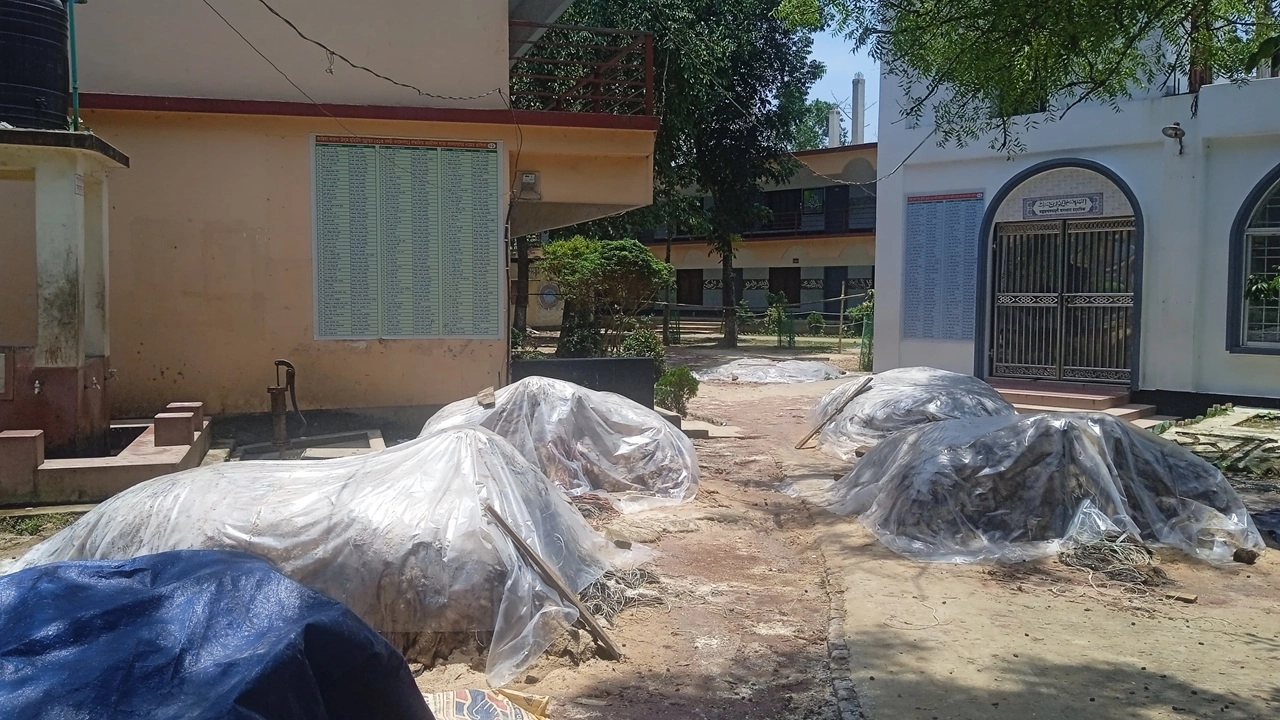 ফেলে রাখা চামড়া