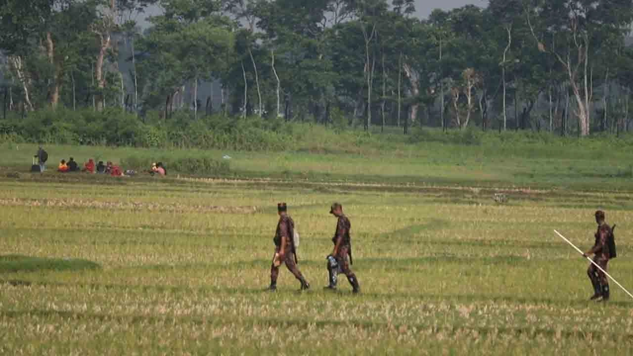 সংগৃহীত