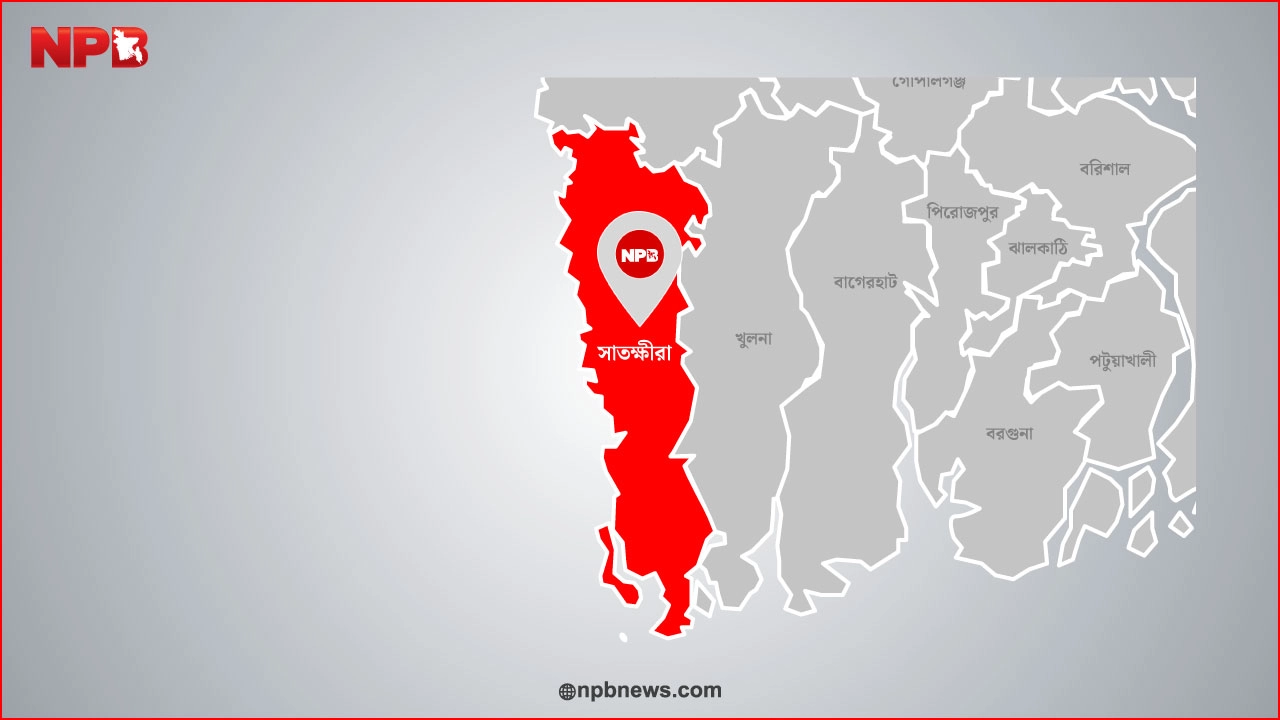 এনপিবি গ্রাফিক্স
