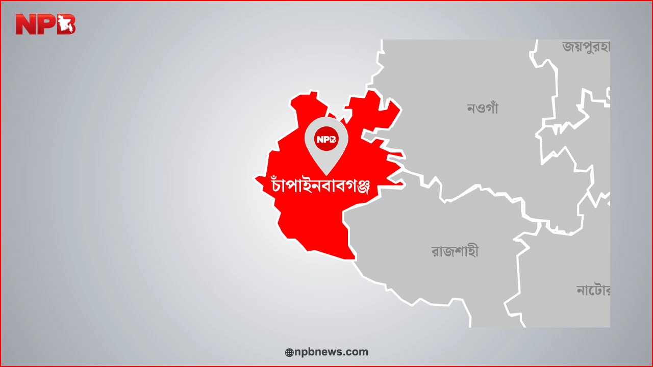 এনপিবি গ্রাফিক্স