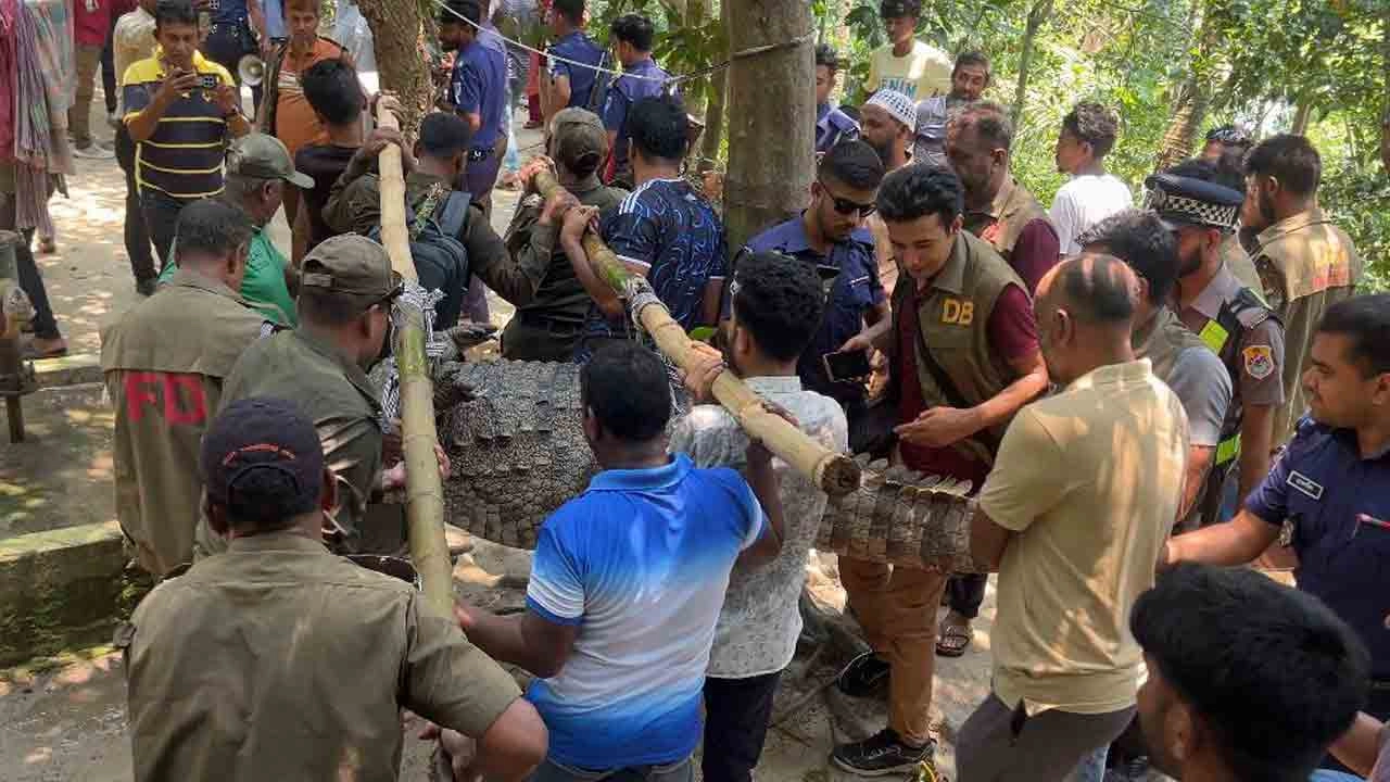 সরানো হলো খানজাহান আলীর মাজারের দিঘির কুমিরটি