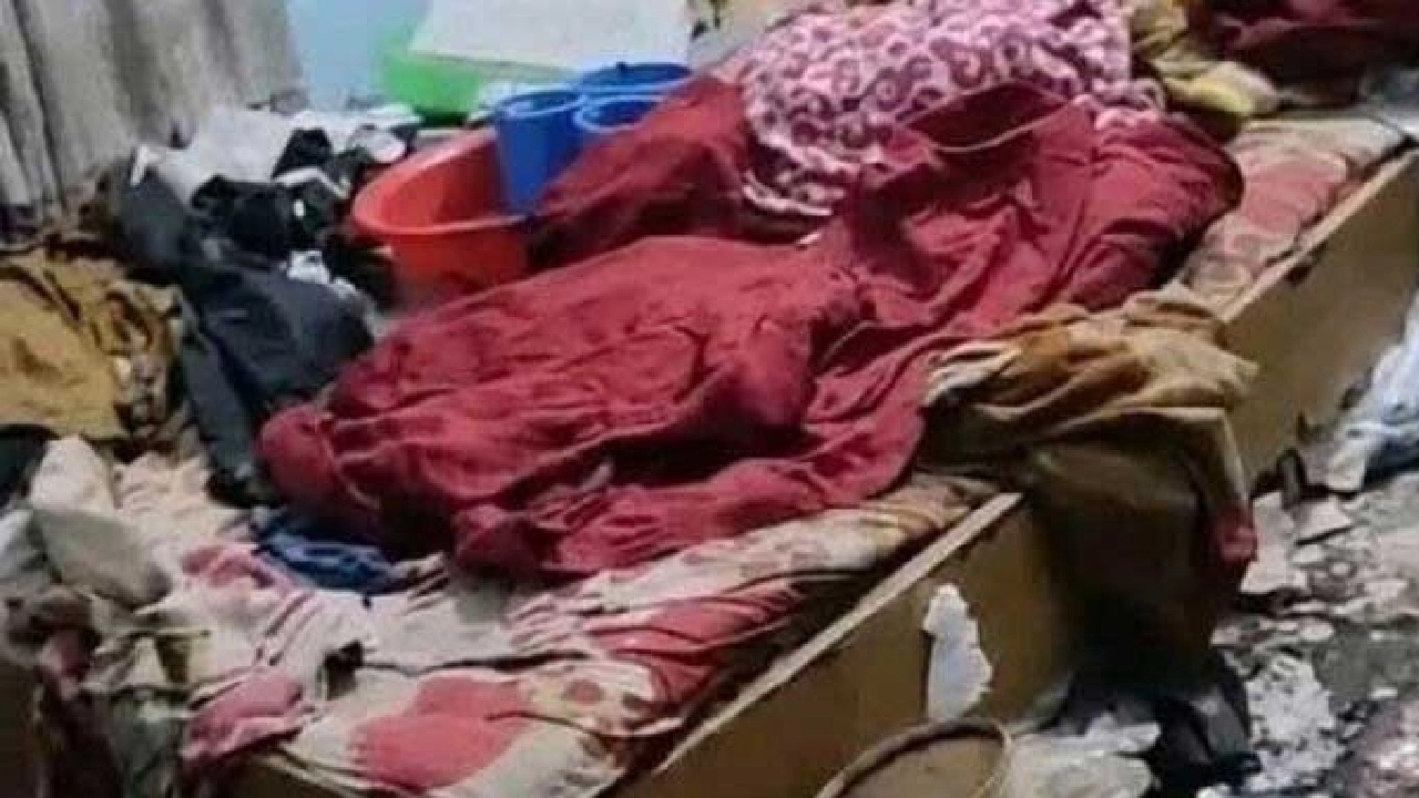 ছবি সংগৃহীত