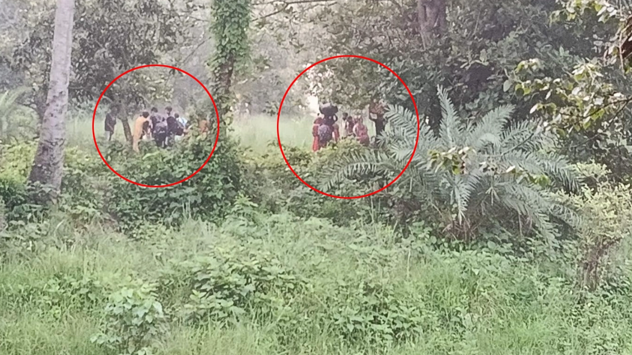 চাঁপাইনবাবগঞ্জ সীমান্তে ২৮ জনকে পুশ-ইন করল বিএসএফ