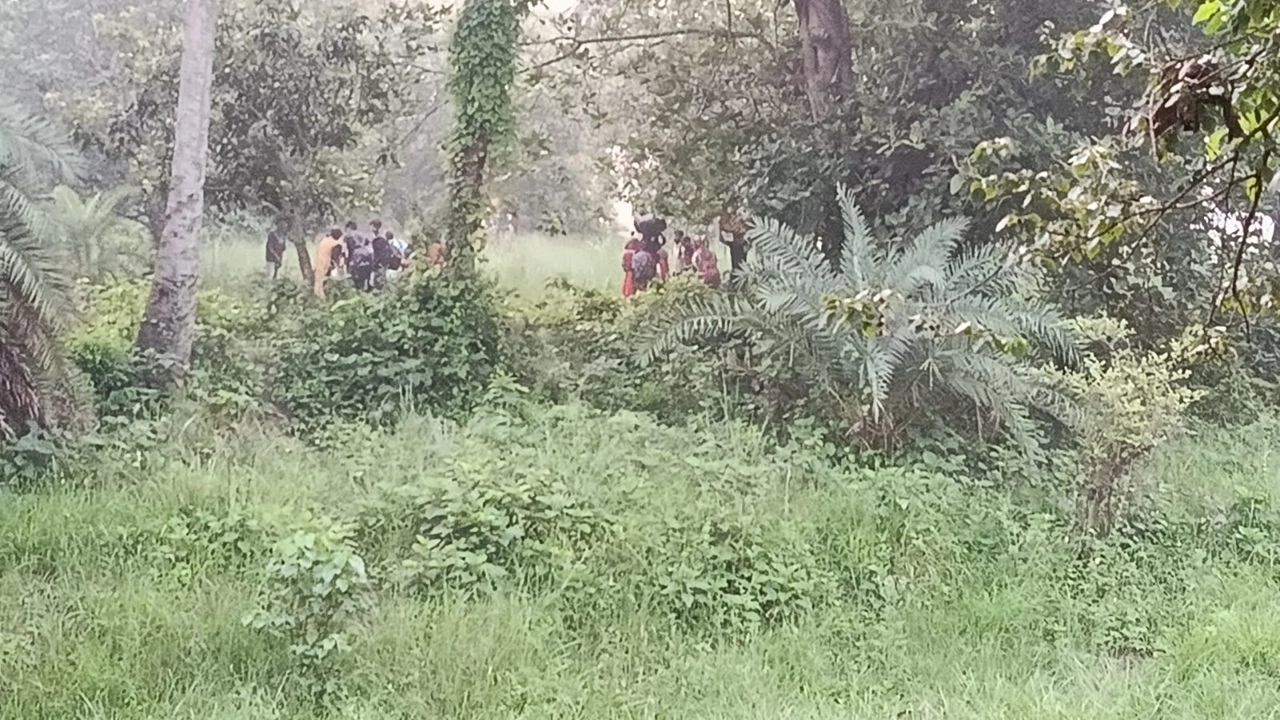 ছবি: এনপিবি নিউজ