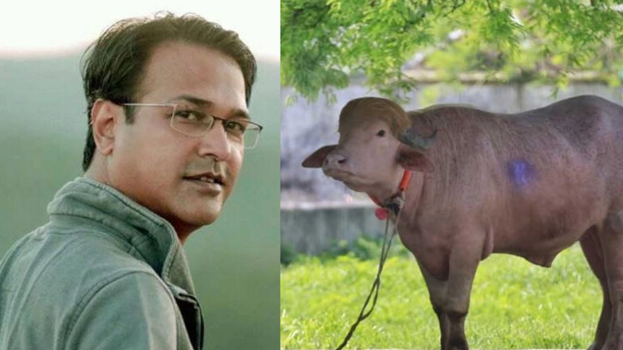 এনপিবি গ্রাফিক্স।