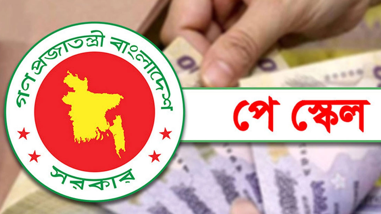 ফাইল ছবি