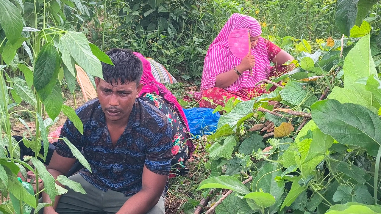 পুশইনের শিকার ৬ জনকে ফিরিয়ে নিয়েছে বিএসএফ