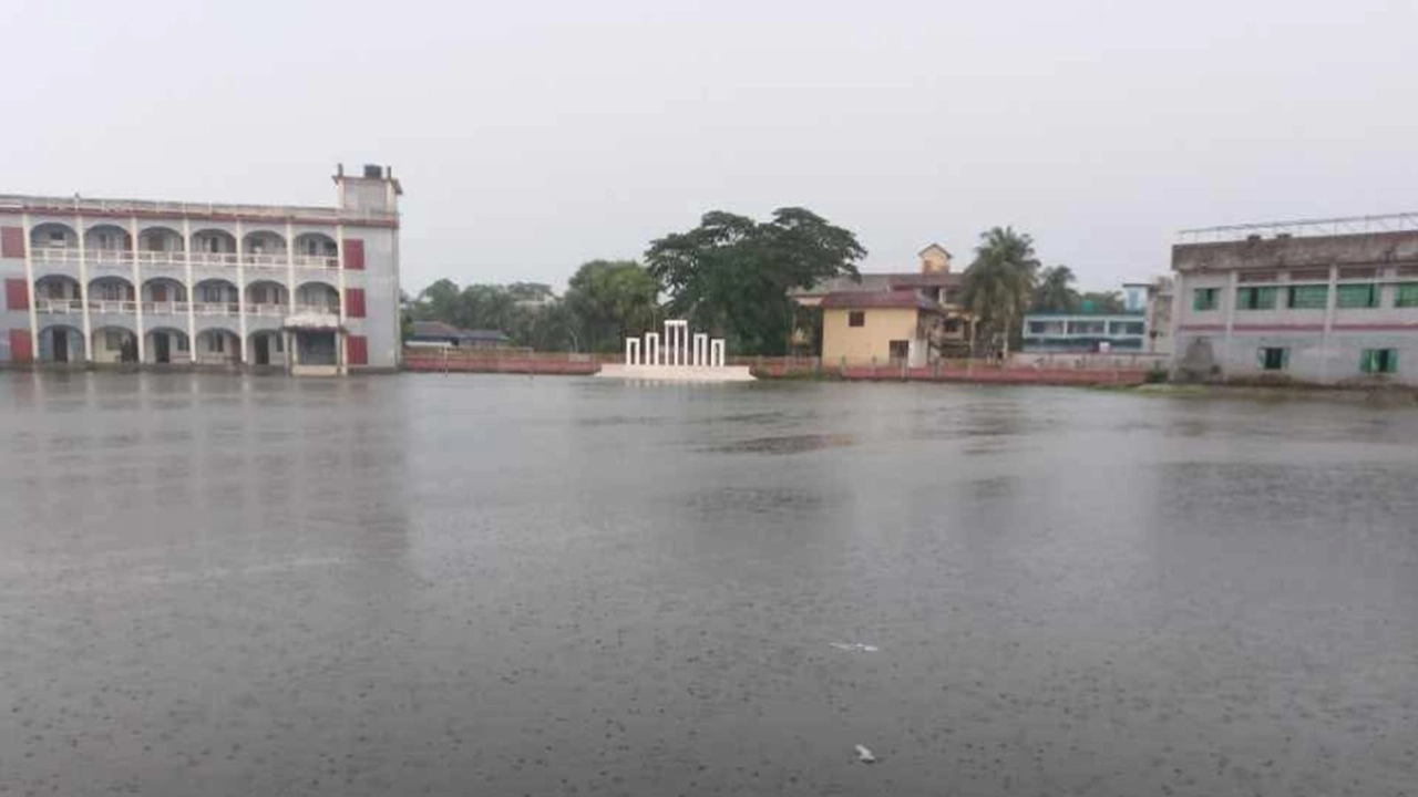 ছবি সংগৃহীত