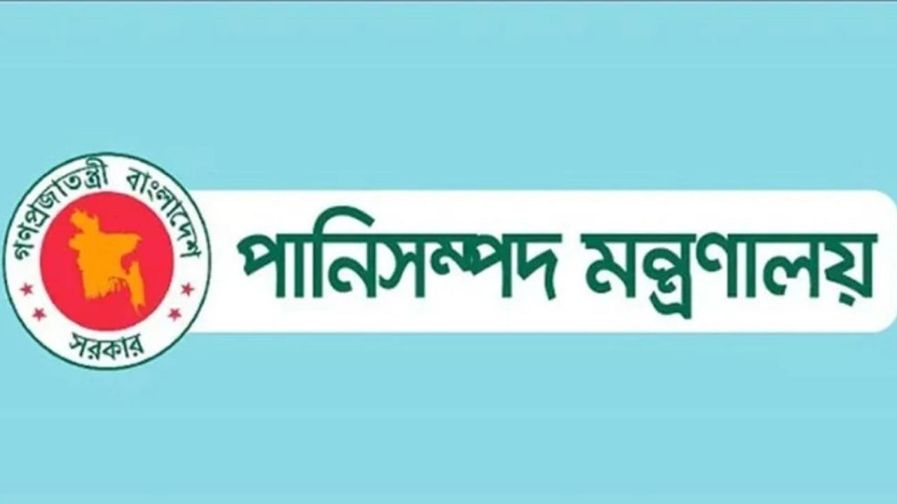 ছবি সংগৃহীত