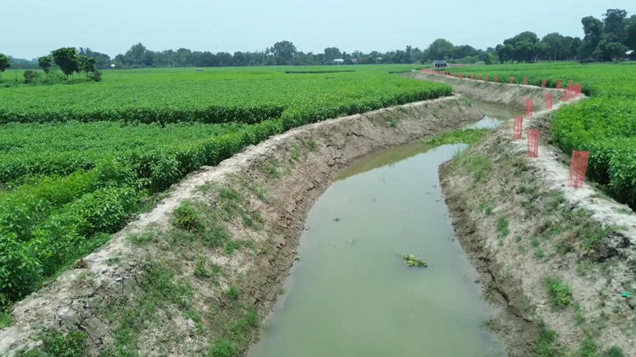 ছবি: এনপিবি নিউজ