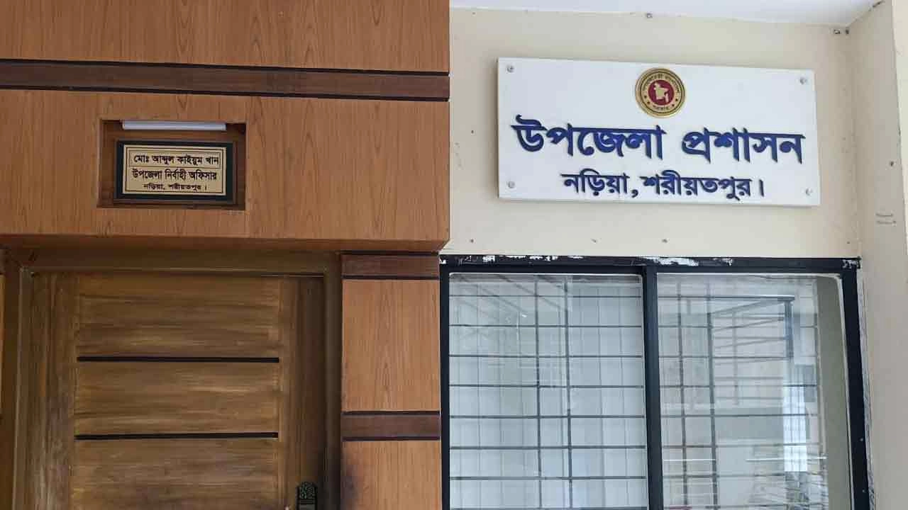 ফাইল ছবি