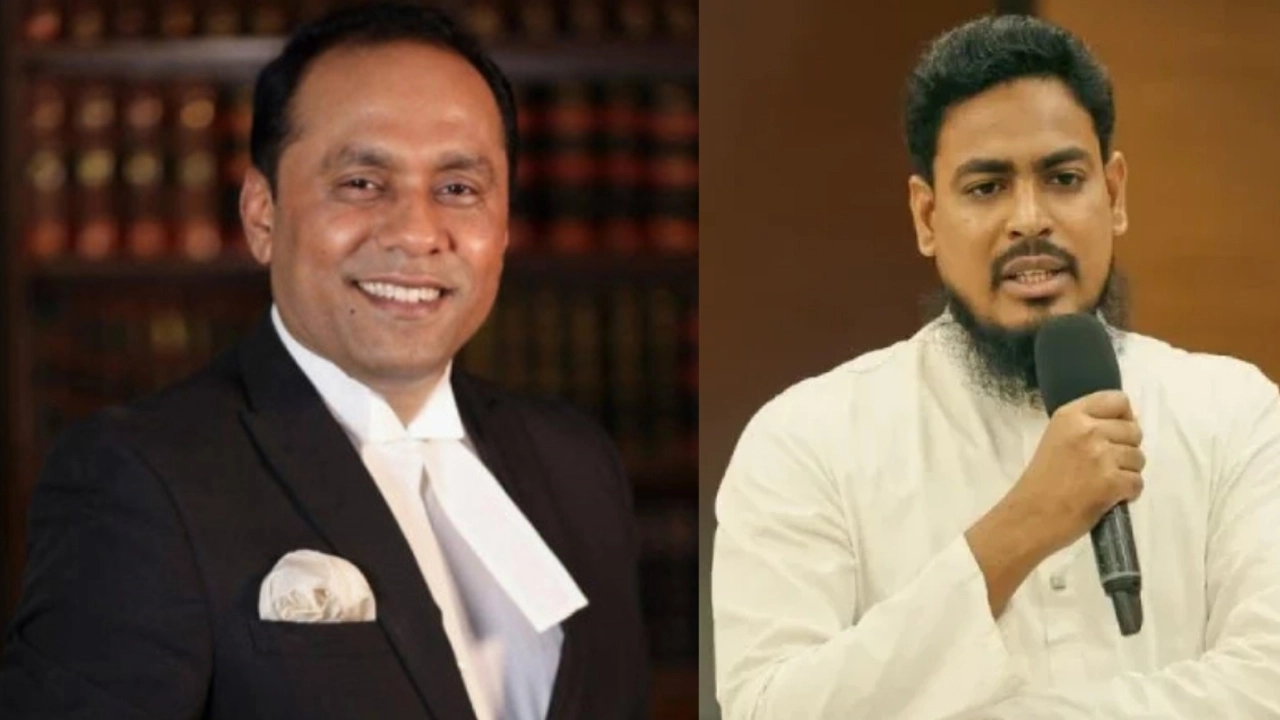 এনপিবি কোলাজ