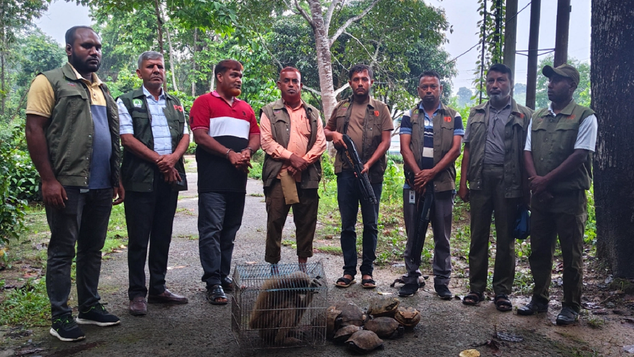 বন্যপ্রাণী পাচারে আটক যুবকের কারাদণ্ড