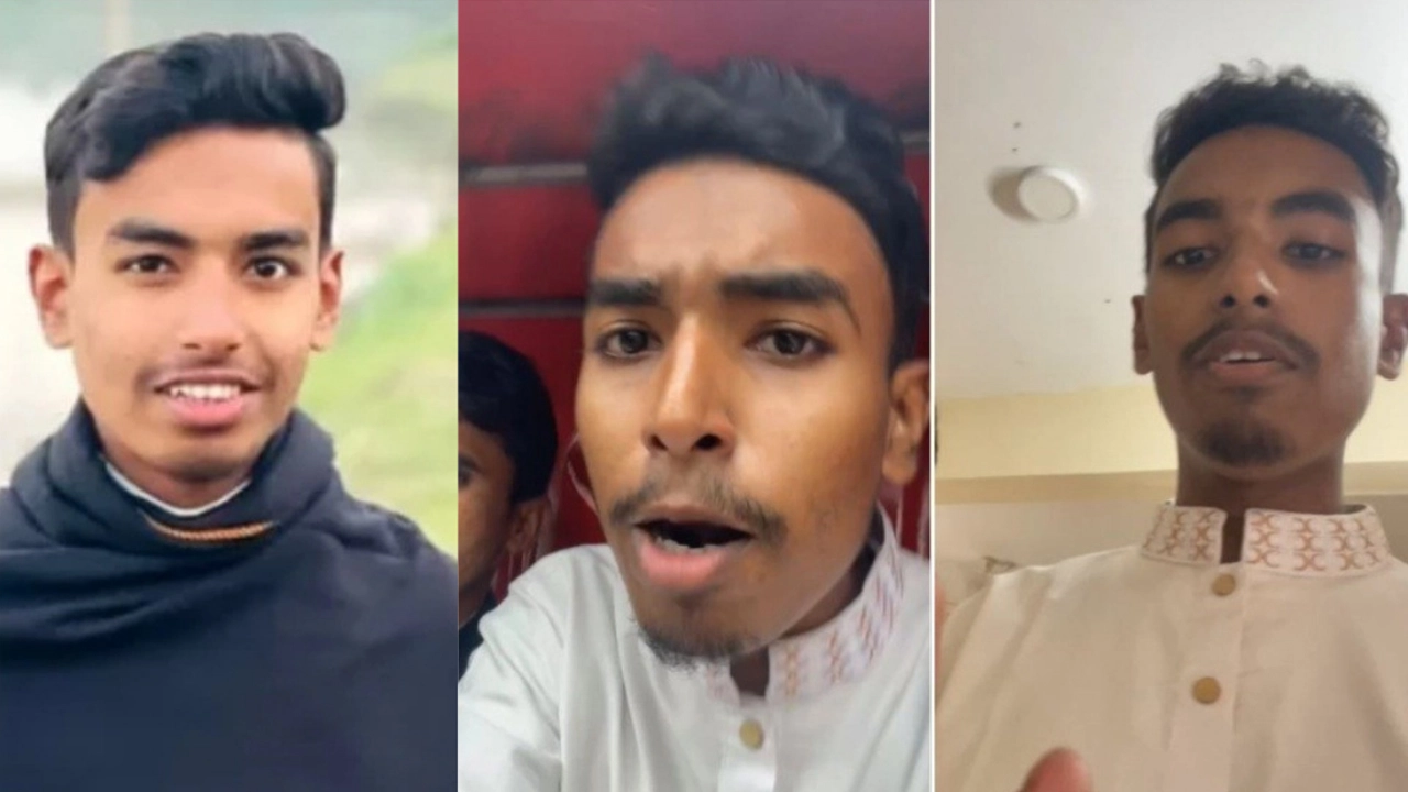 এনপিবি কোলাজ