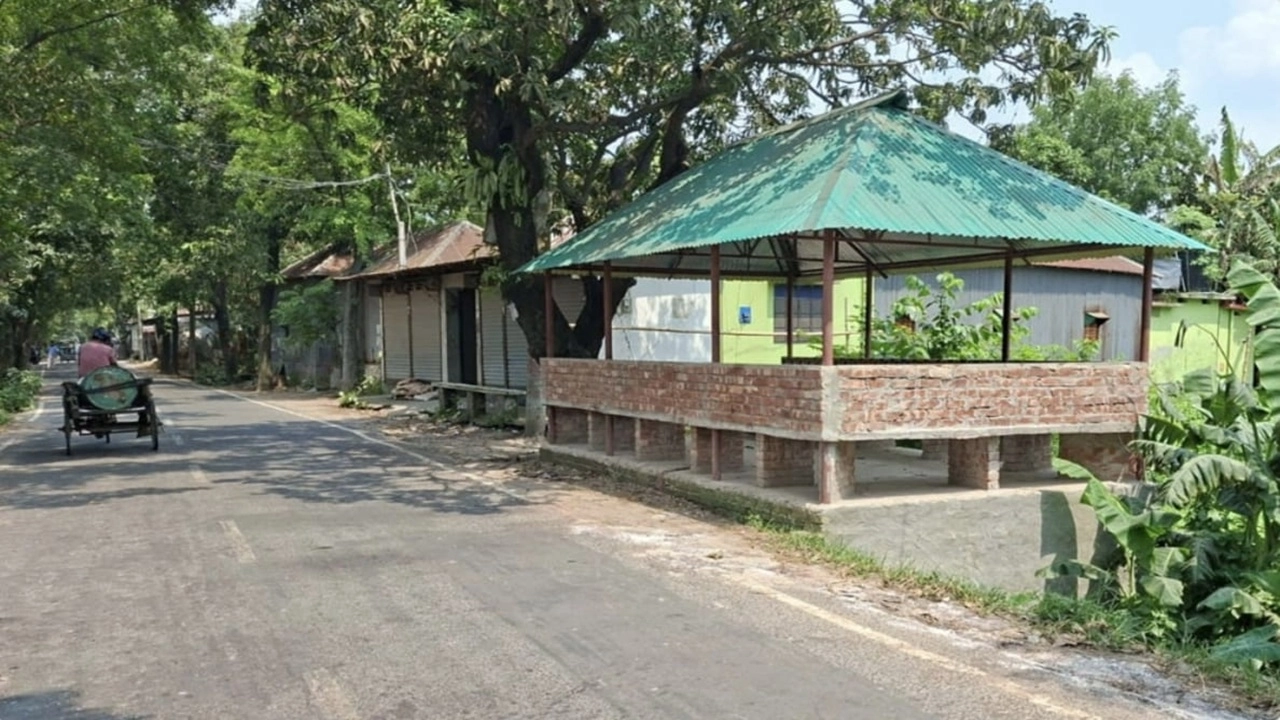ছবি সংগৃহীত