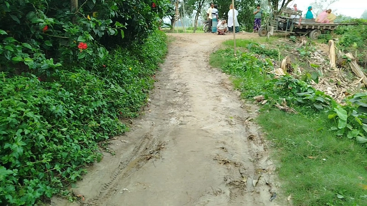 ছবি সংগৃহীত