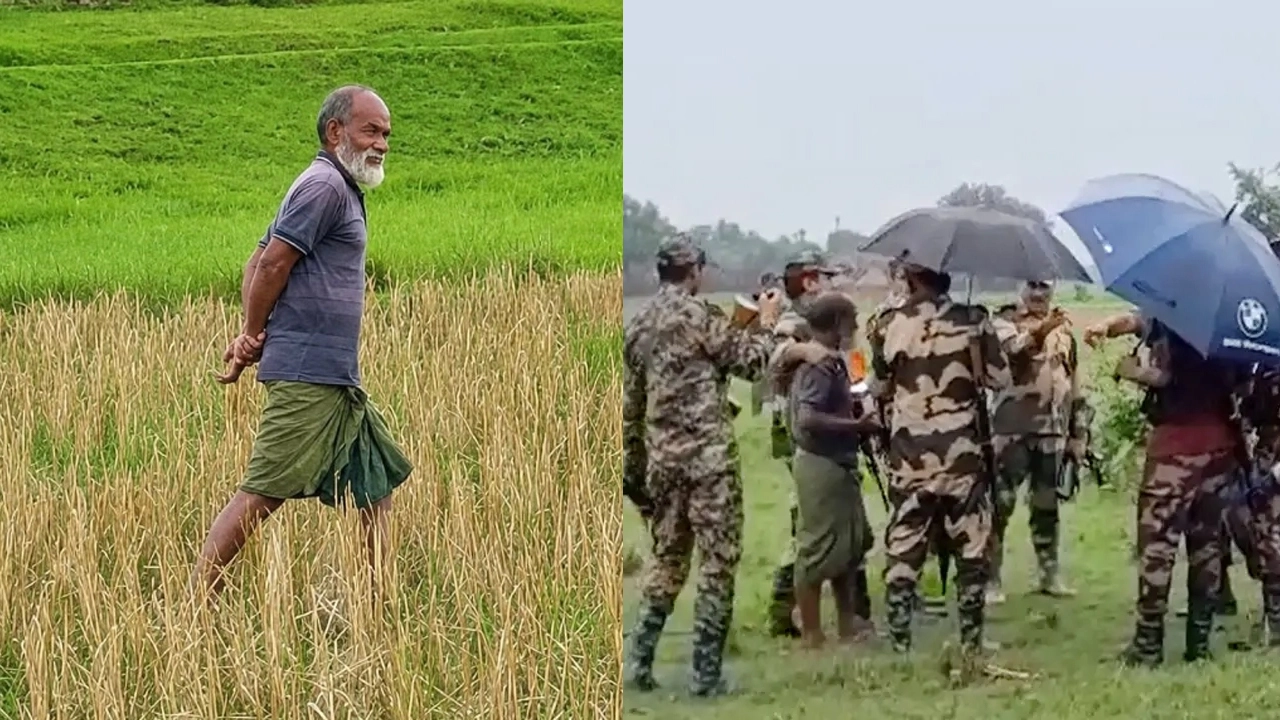 সংগৃহীত