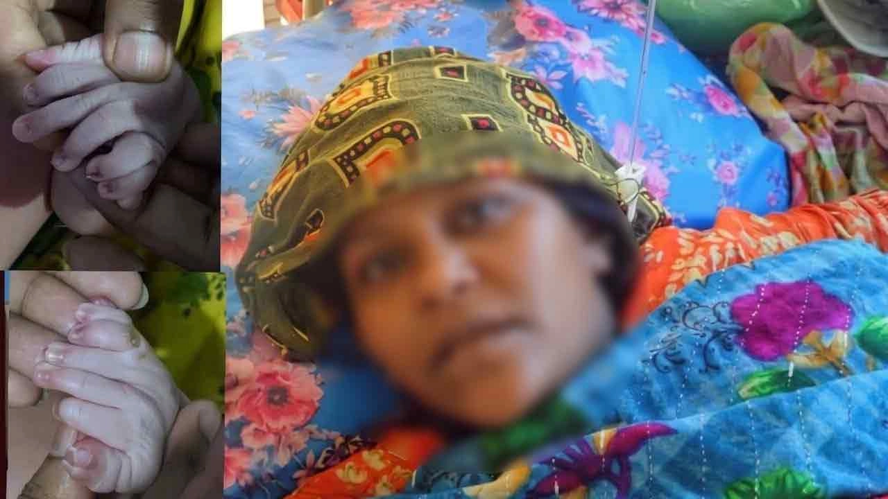 সংগৃহীত