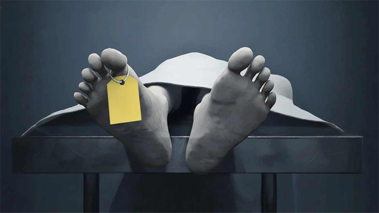 ছবি সংগৃহীত