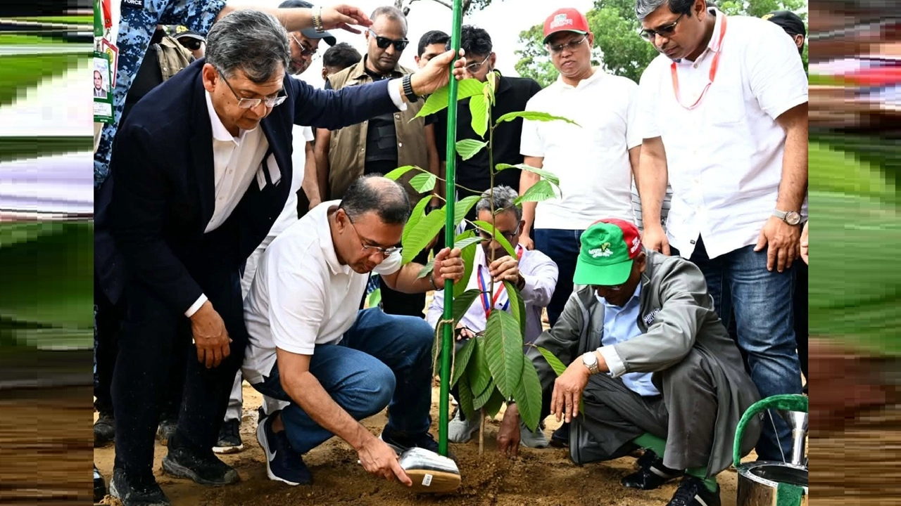 ছবি সংগৃহীত