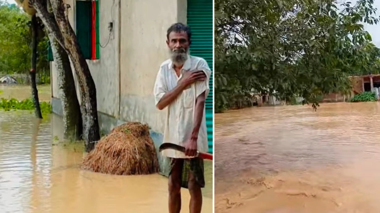 ছবি সংগৃহীত