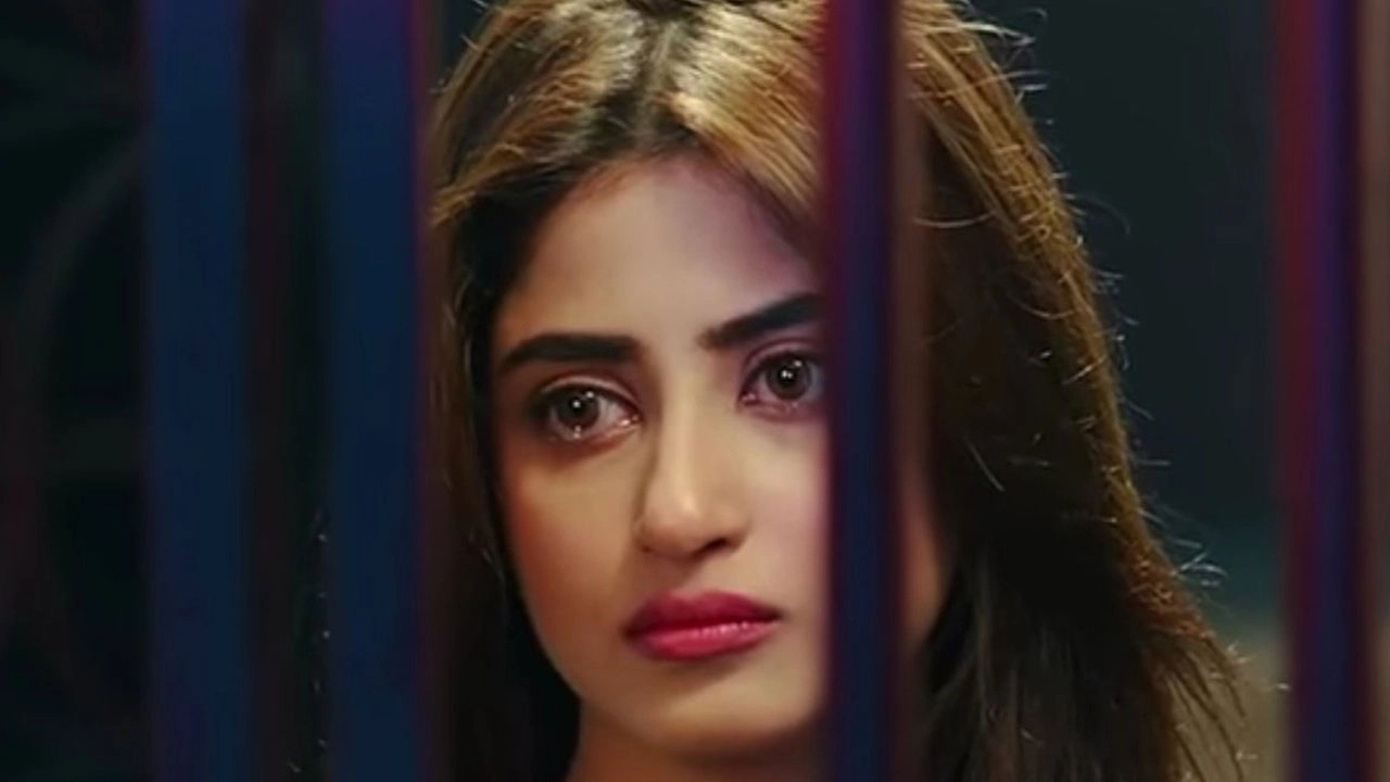ছবি সংগৃহীত