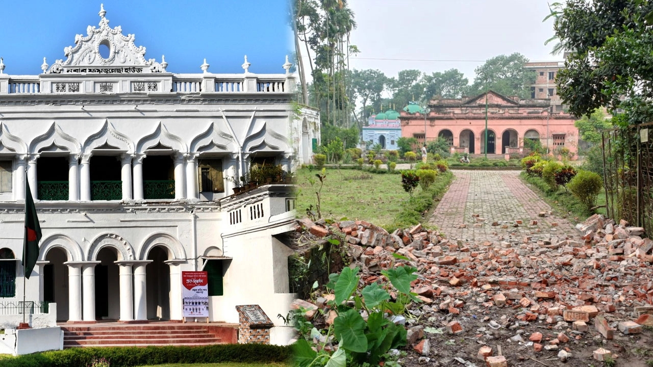এনপিবি কোলাজ