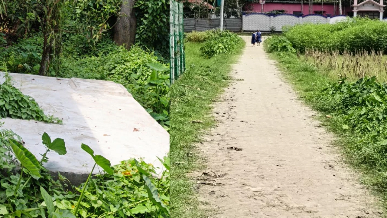 মতলব উত্তরে গজরা সরকারি প্রাথমিক বিদ্যালয়ের সেফটি ট্যাংক ও হেরিংবন্ড উন্নয়ন প্রকল্পে অনিয়মের অভিযোগ।