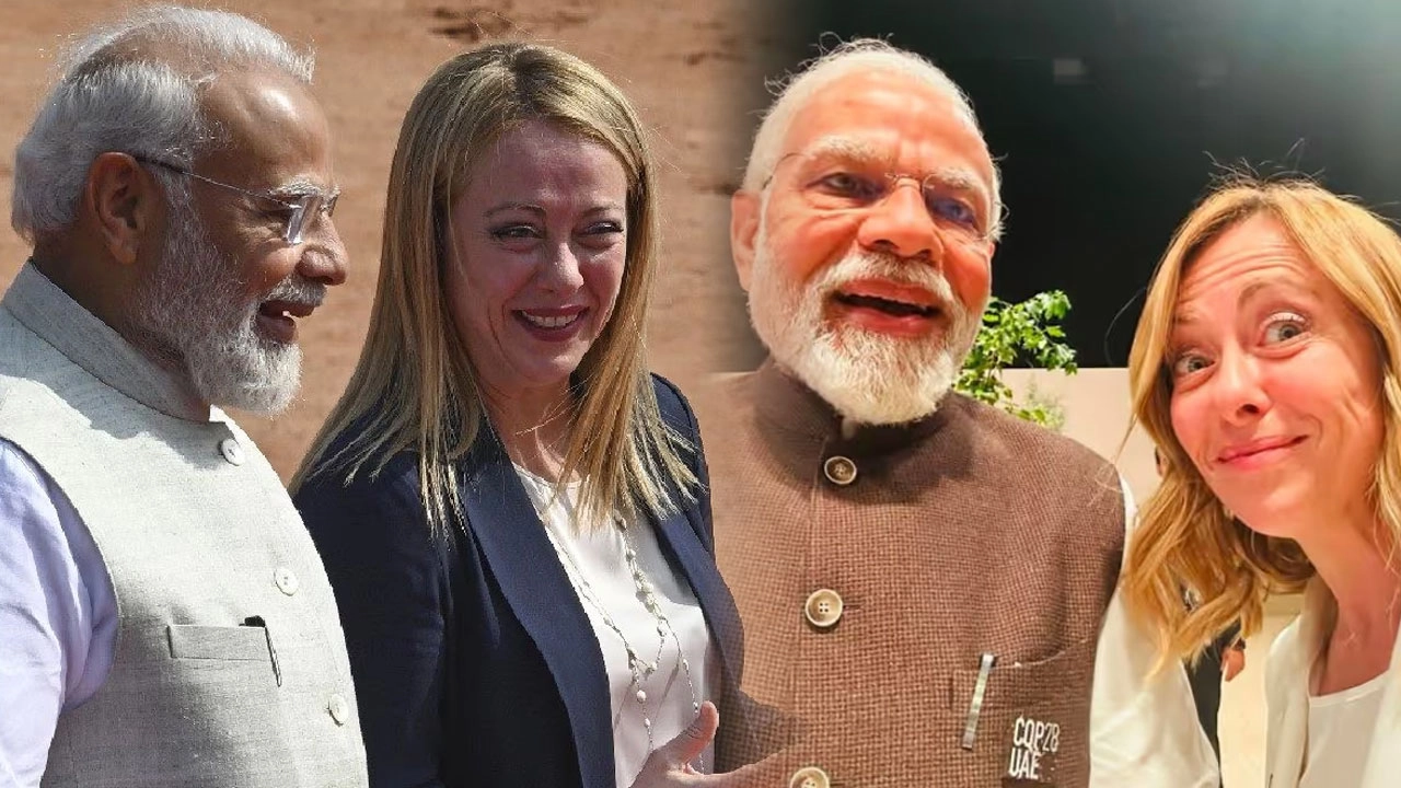 এনপিবি কোলাজ