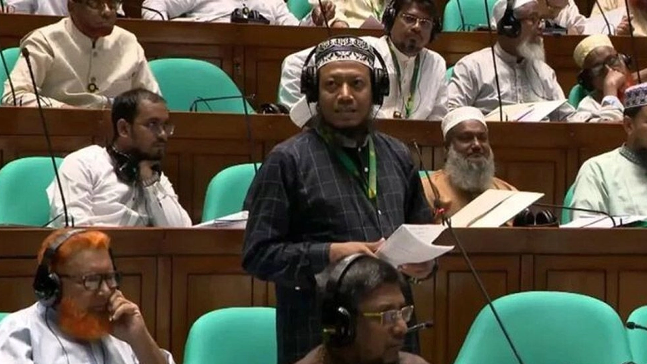 এই বাজেট অনেকটা চানাচুর মার্কার মতো, খেলে পেট খারাপ হয়: আমির হামজা