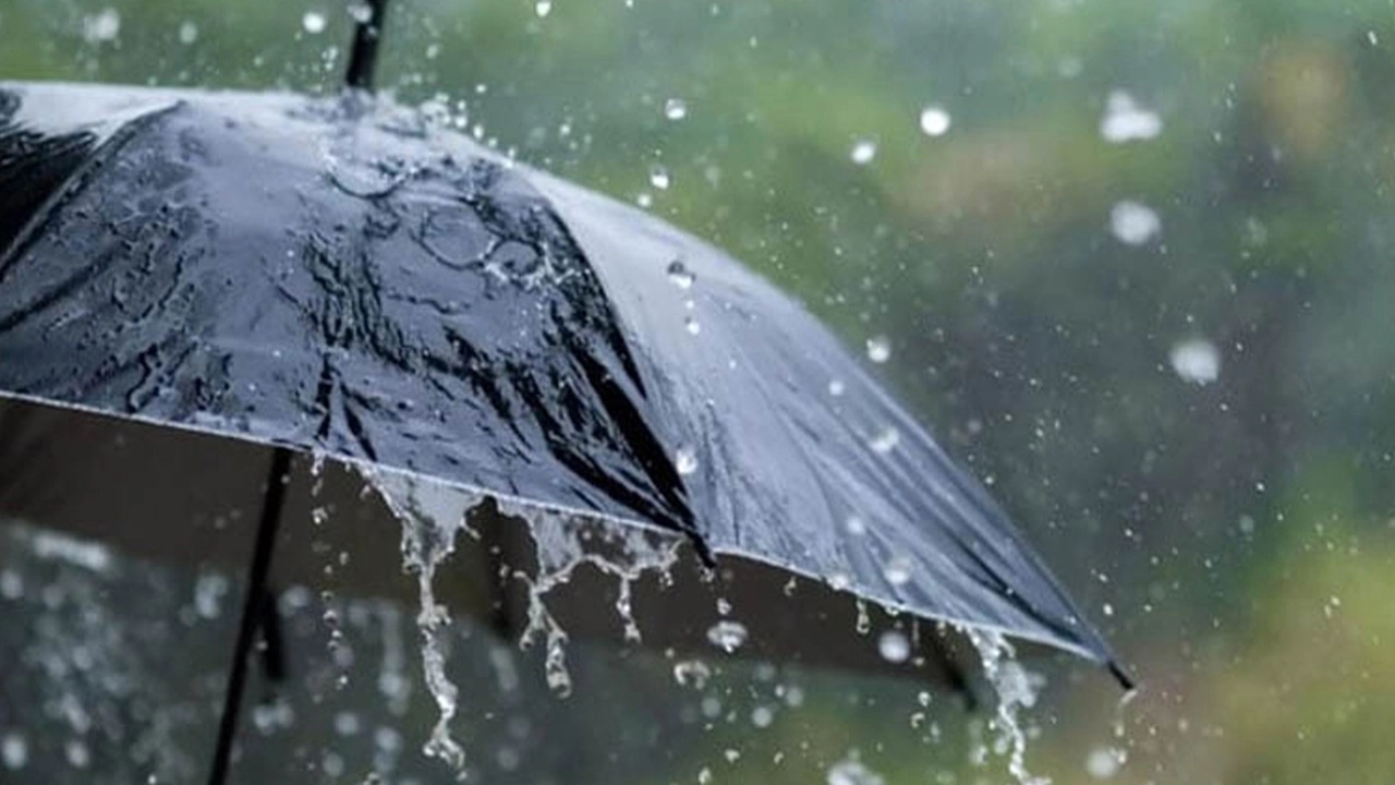 ছবি সংগৃহীত