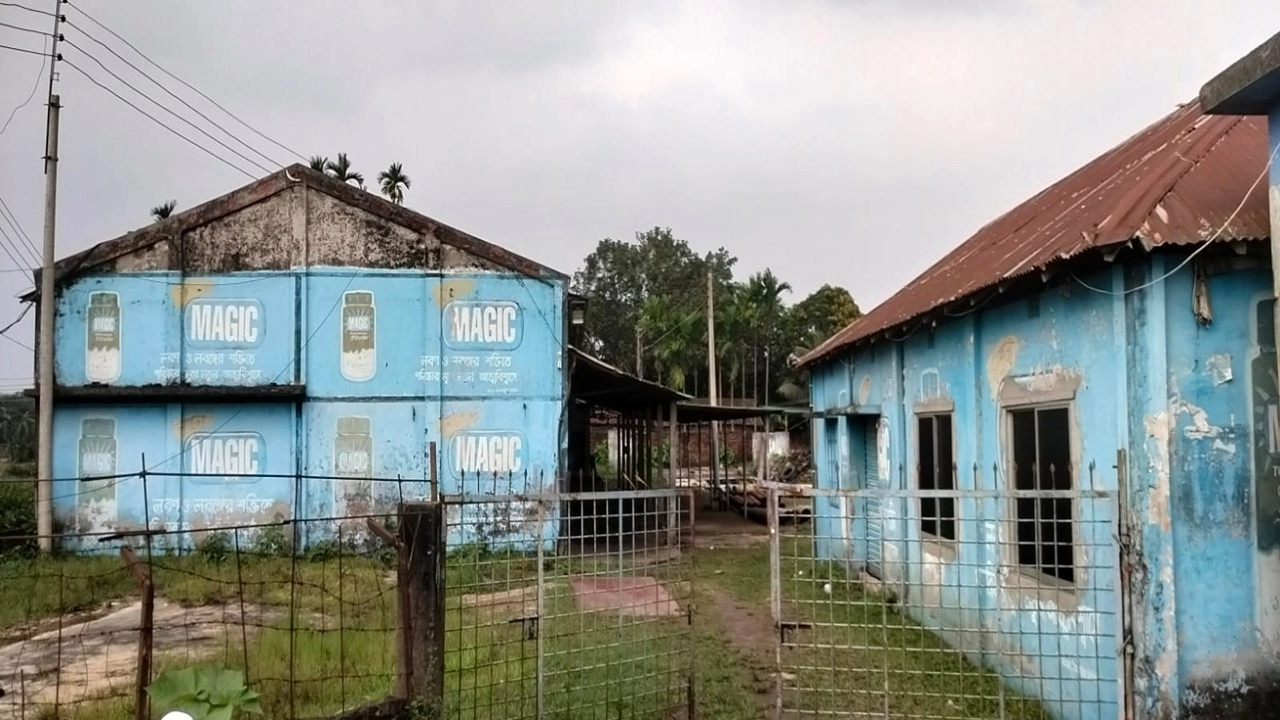 ছবি সংগৃহীত