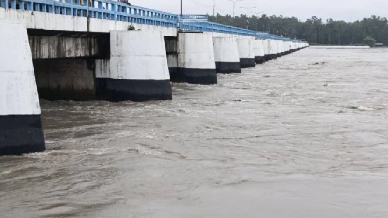 ছবি সংগৃহীত
