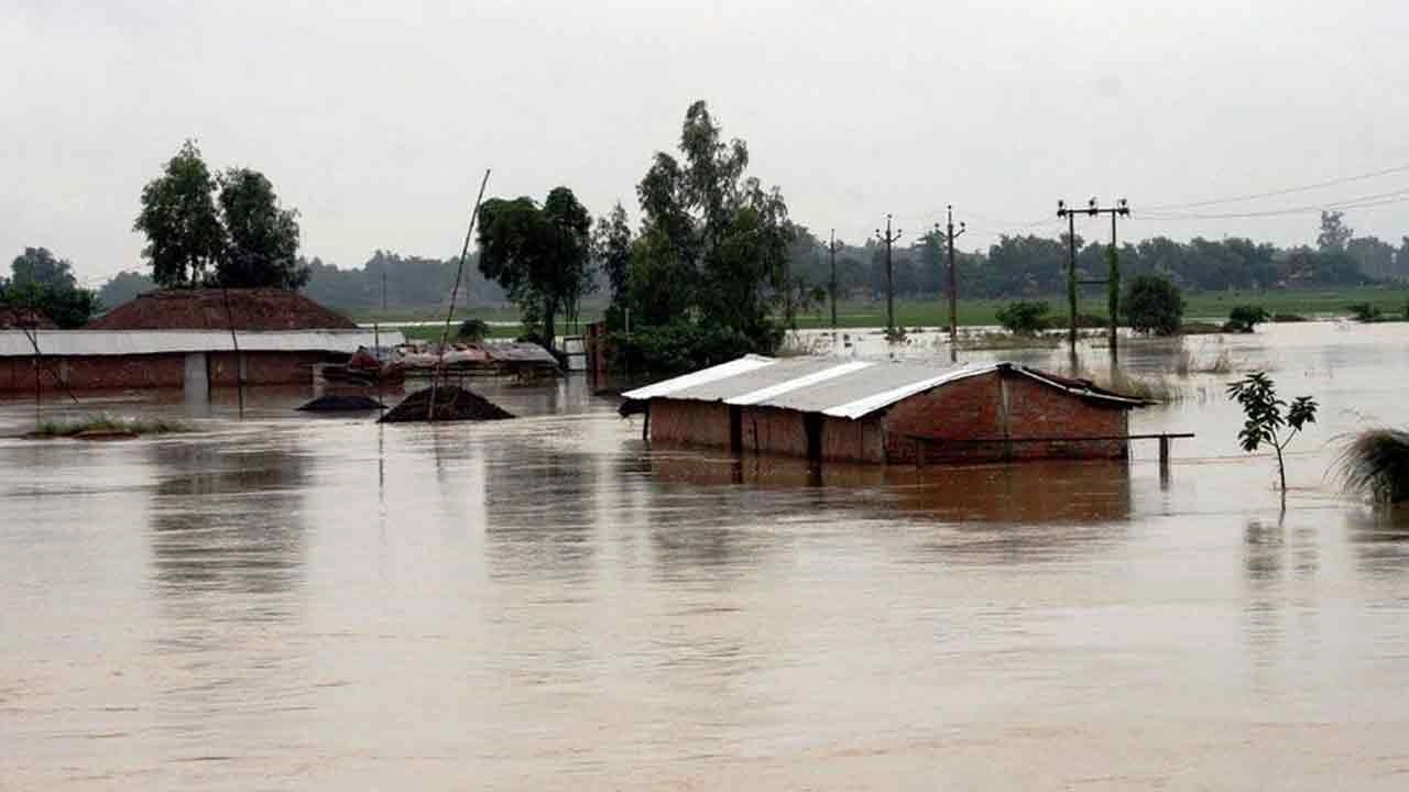 সংগৃহীত