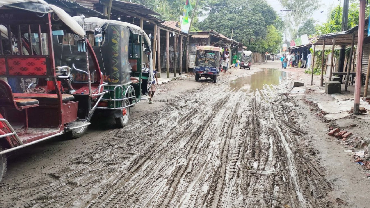 জোড়গাছ হাটের রাস্তা
