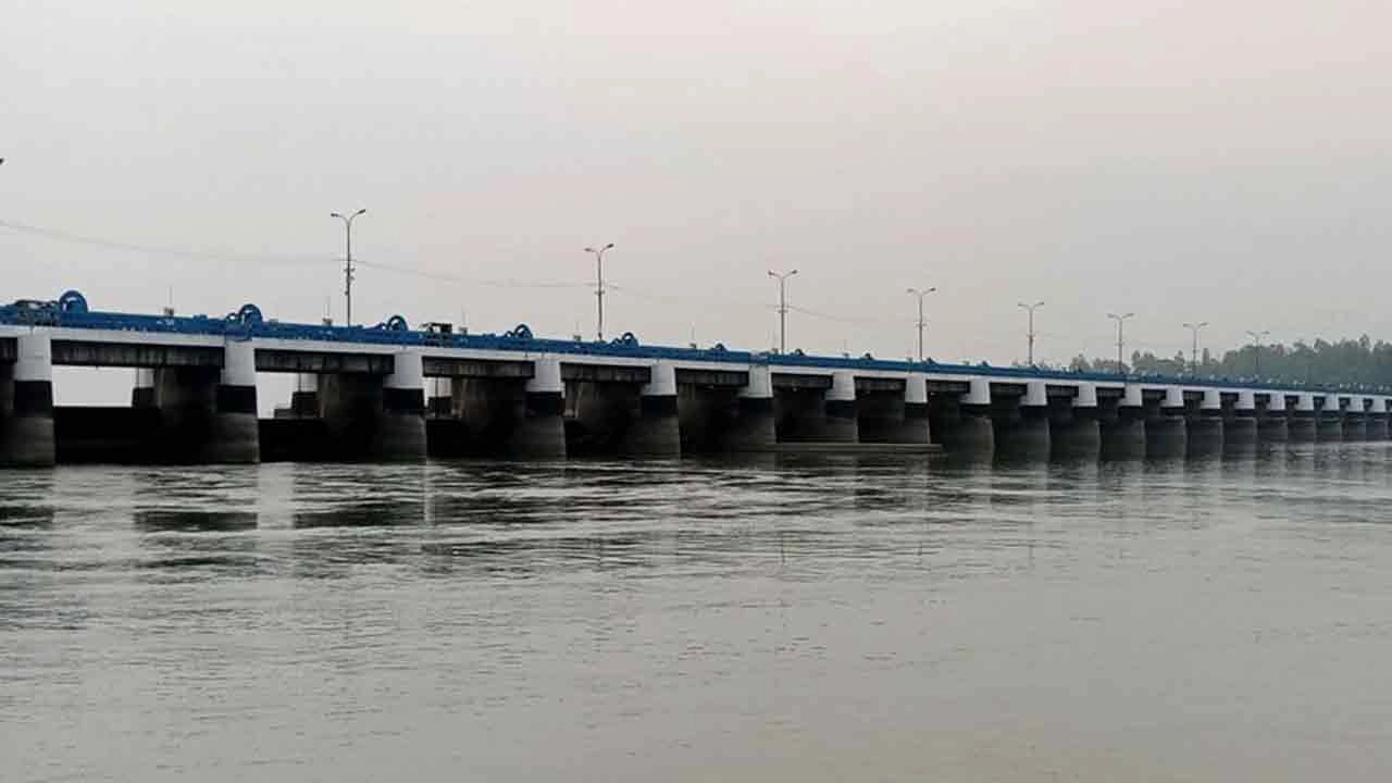 সংগৃহীত