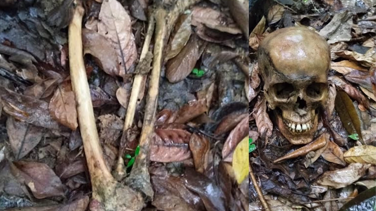 নাইক্ষ্যংছড়ির বাইশারীতে গহিন জঙ্গল থেকে অজ্ঞাত ব্যক্তির কঙ্কাল উদ্ধার!