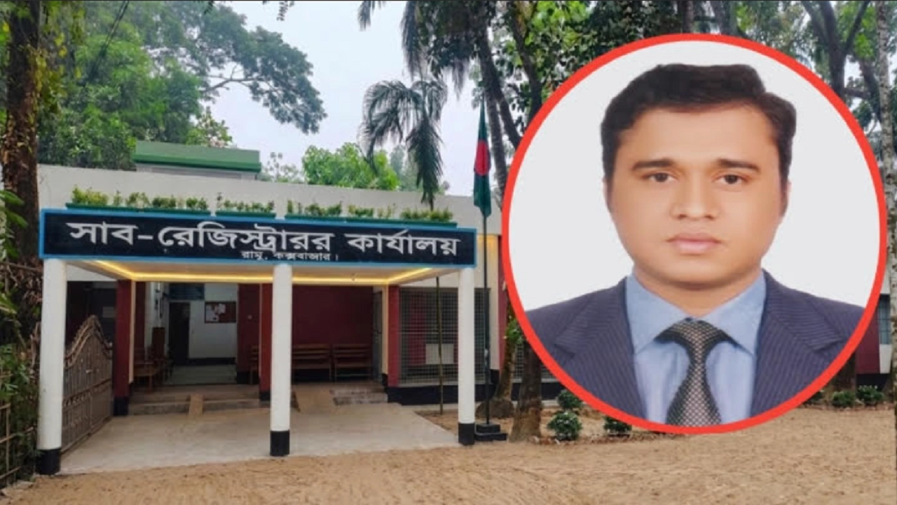 ফাইল ছবি
