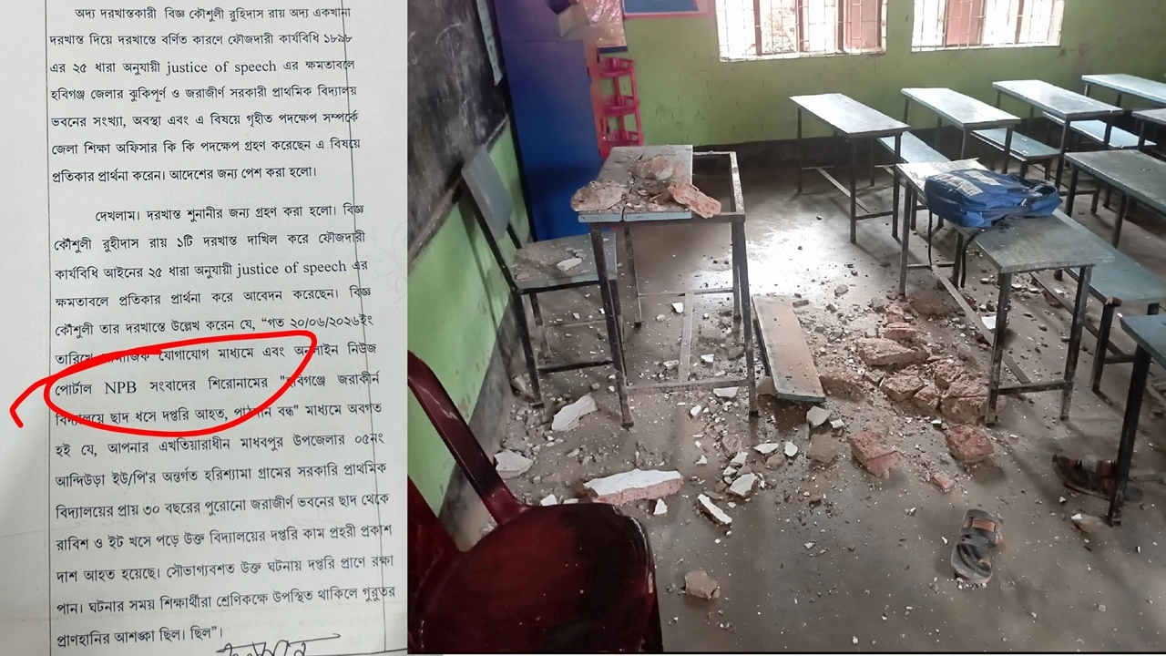 ছবি: এনপিবি নিউজ