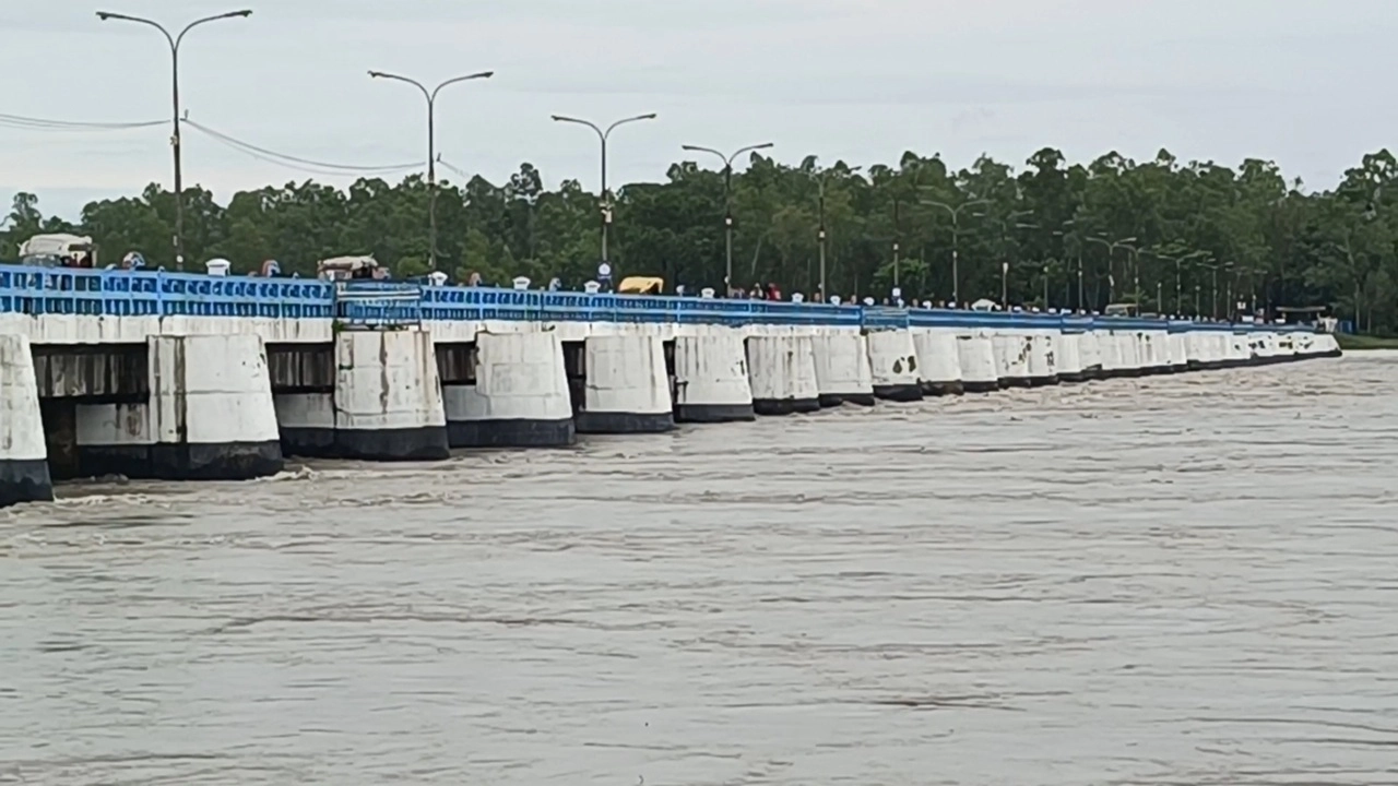 ছবি সংগৃহীত