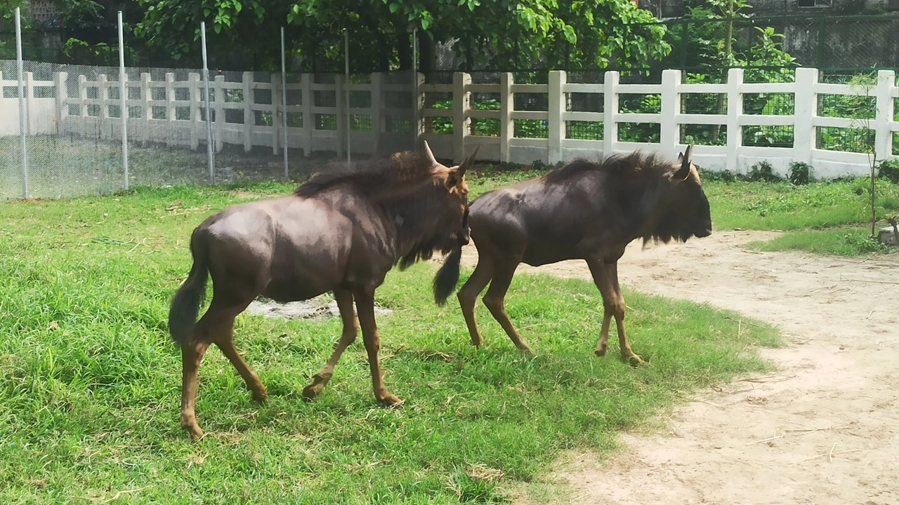 ছবি সংগৃহীত