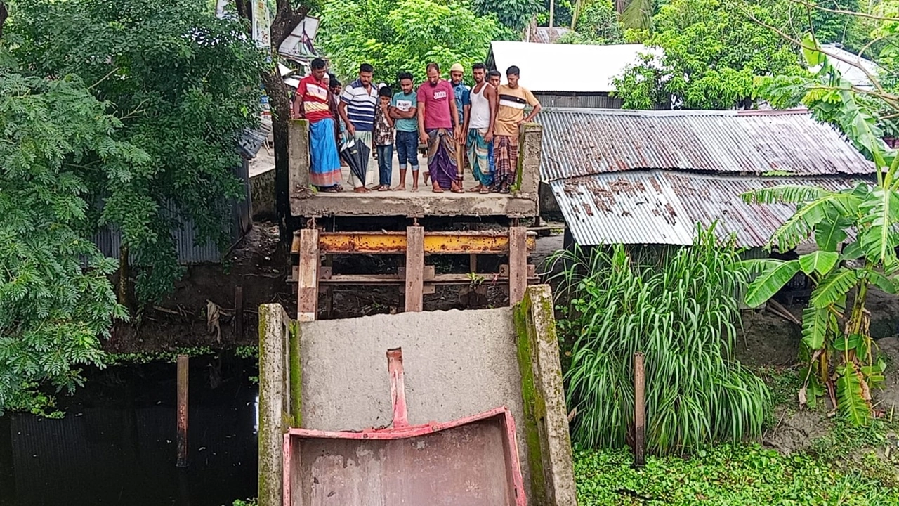 ছবি: এনপিবি নিউজ