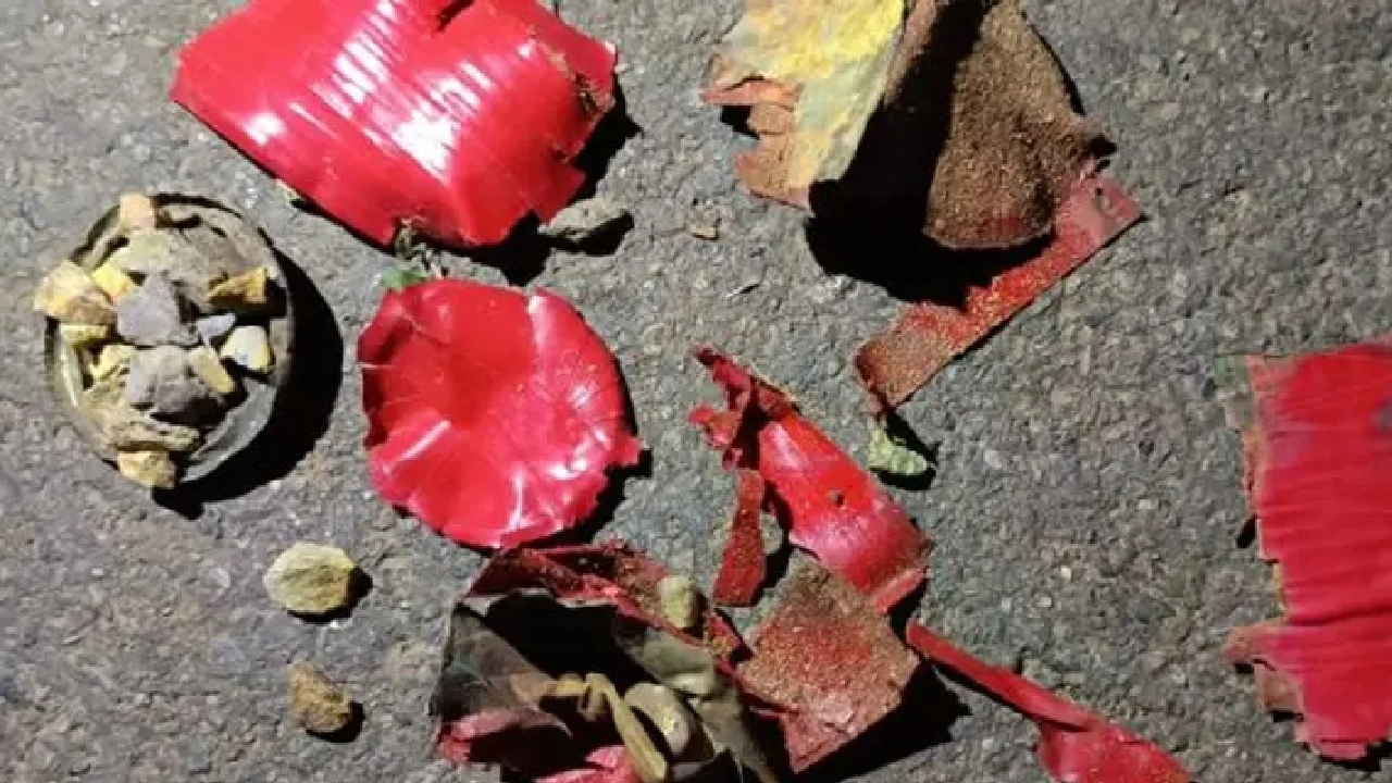 ছবি সংগৃহীত