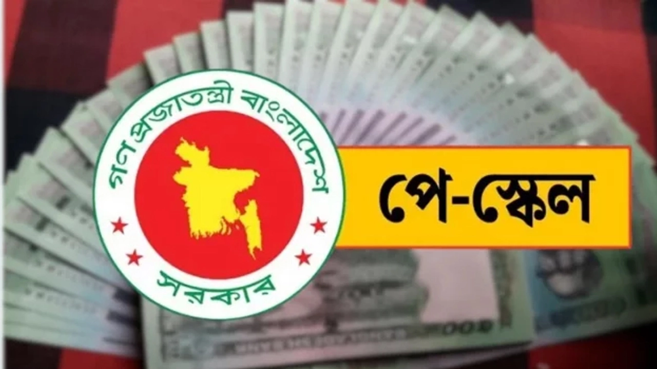 ফাইল ছবি