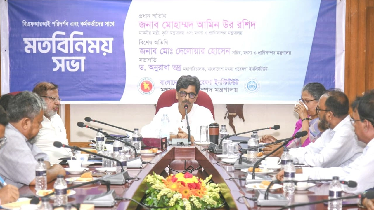 ছবি সংগৃহীত