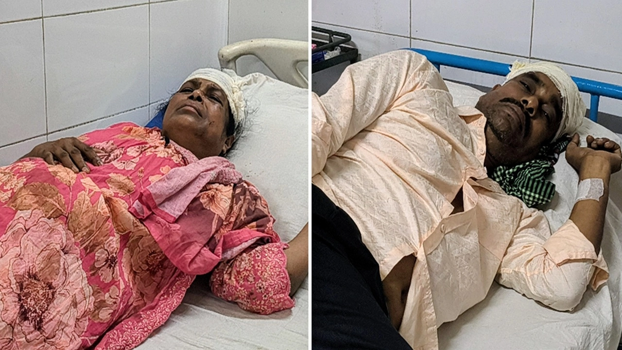 ছবি সংগৃহীত
